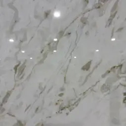 Bianco Rhino Machia Oro