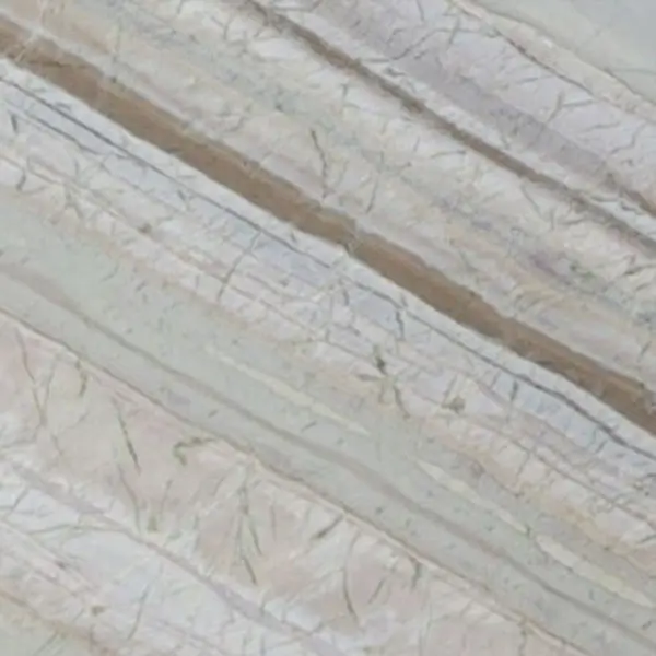 CORTECCIA