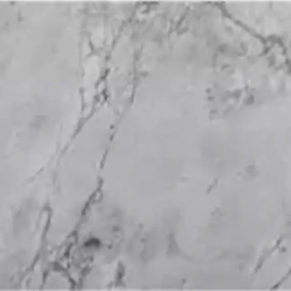 Calacatta Super White