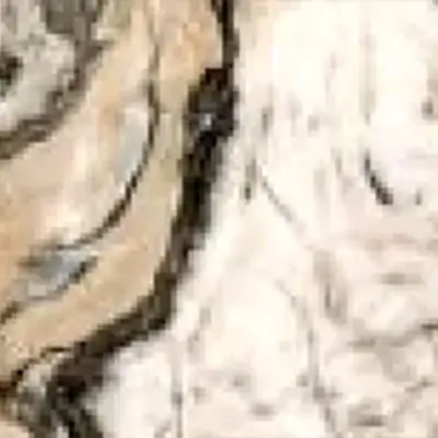 Cristallo Venato Leather