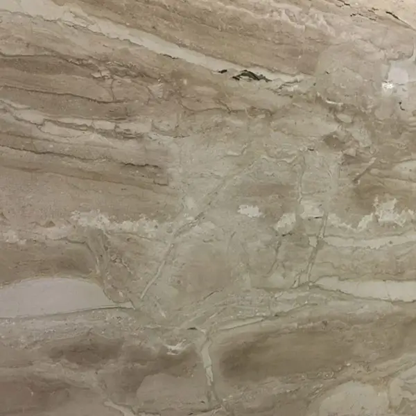 DAINO REALE 3CM