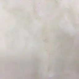 Dolce Vita