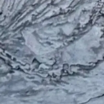 London Fog Leather