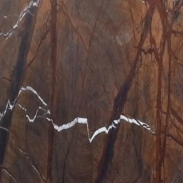 RAINFOREST BROWN