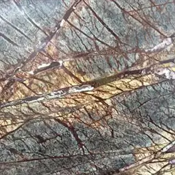 Rain Forest Brown