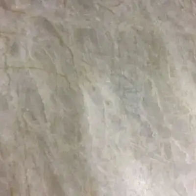 Taj Mahal Leather
