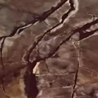 Velvet Quartzite
