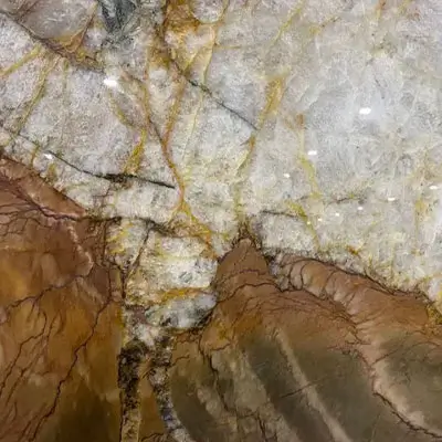 Volupia