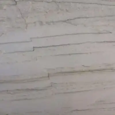 White Macauba
